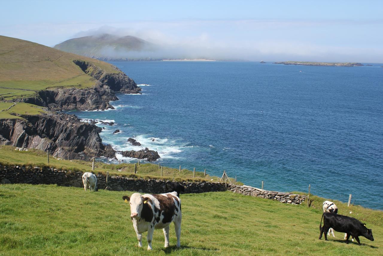 Dingle Courtyard Cottages 4 Bed By Trident Holiday Homes Exterior photo